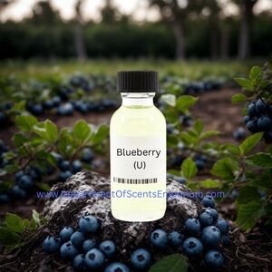 Blueberry Unisex 1 Oz Fragrance Oil Paraben Free Vegetable Oil